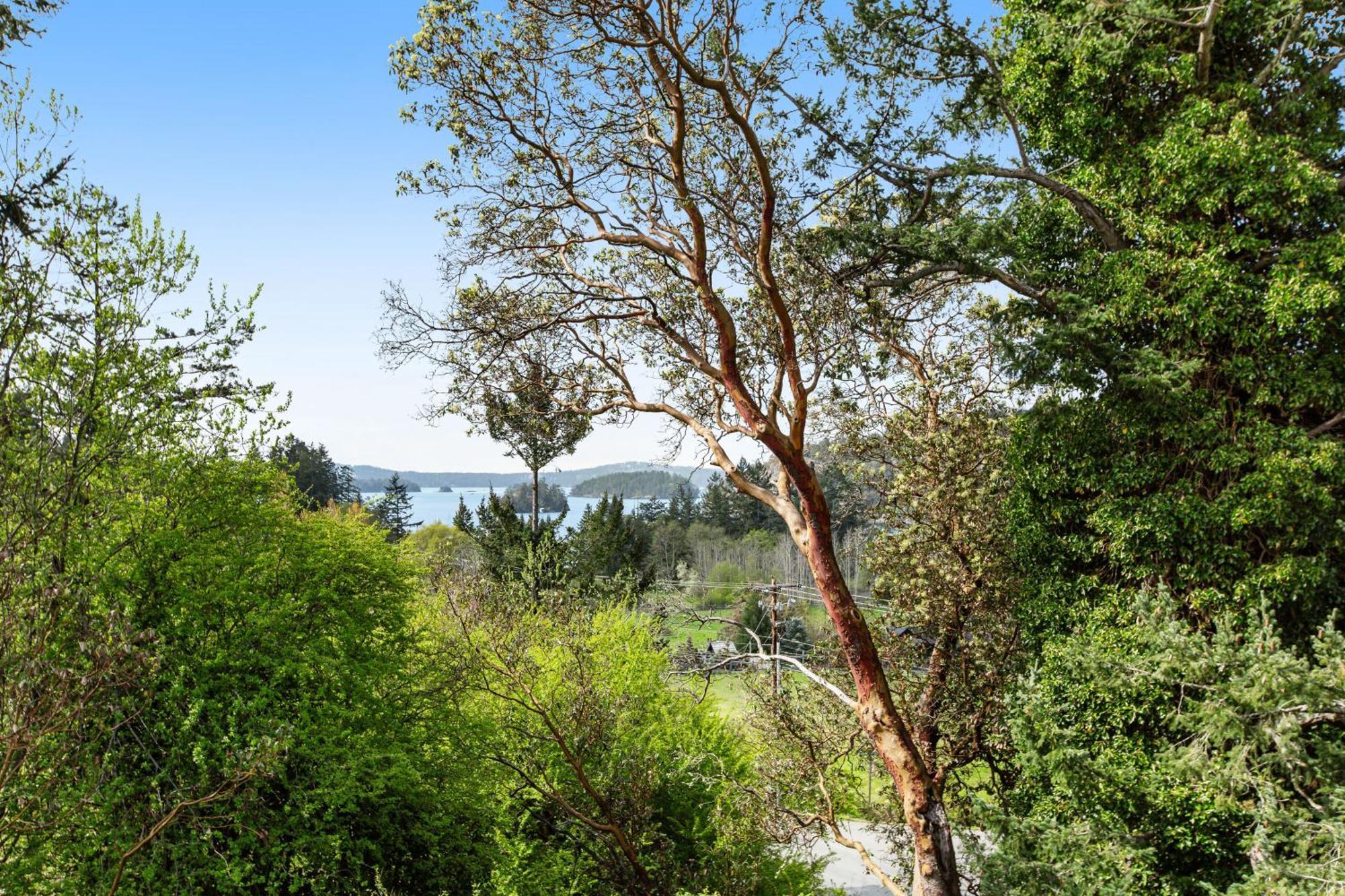 Deer Harbor Cottages Quarto foto
